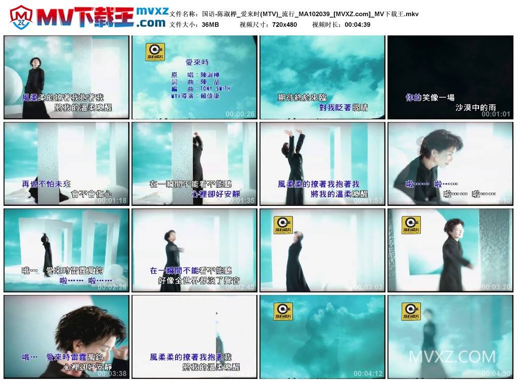 国语-陈淑桦_爱来时(MTV)_流行_MA102039